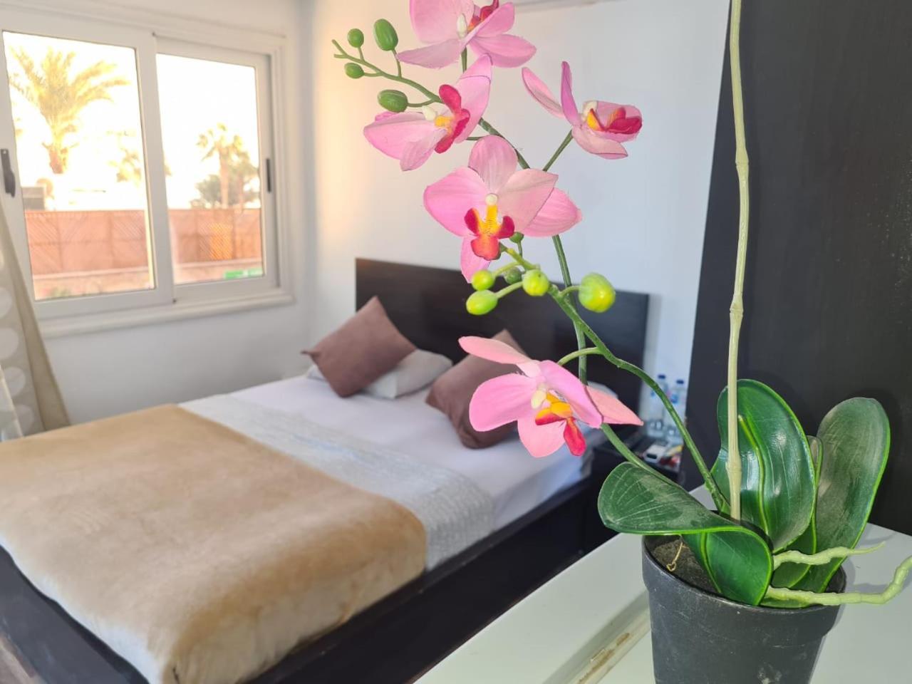 Lilly Rooms And Studio Hurghada Exteriör bild